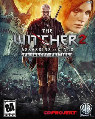 The Witcher 2: Assassins of Kings | Official Website