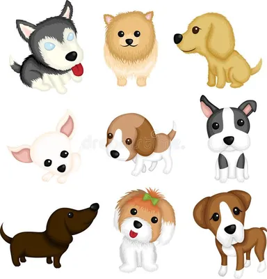 Dog breeds. A vector illustration of different dog breeds , #Ad, #breeds,  #Dog, #vector, #dog, #illustration #ad | Породы собак, Милые собаки, Дикие  животные
