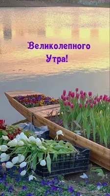 Пин от пользователя Оля на доске Gutun Morgen | Открытки, Поздравительные  открытки, Открытки ко дню рождения