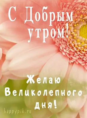 Картинка с пожеланием замечательного великолепного утра (скачать бесплатно)