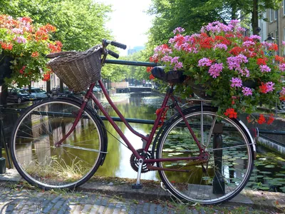 Старый велосипед с цветами» — создано в Шедевруме