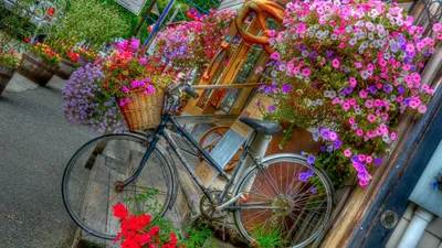 Велосипед с цветами - 68 фото