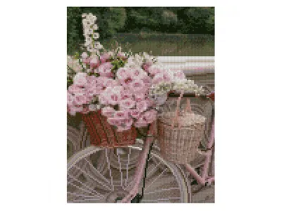 картинки : пейзаж, природа, трава, колесо, цветок, букет, средство  передвижения, спортивный инвентарь, горный велосипед, цветы, Поля 3413x5120  - - 917957 - красивые картинки - PxHere