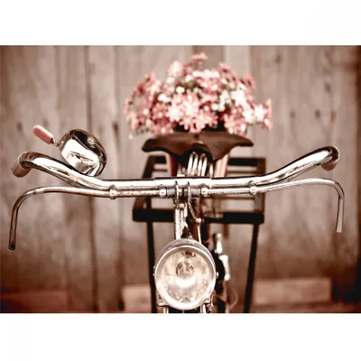 Картина АGL1-038 в раме 30*40*4,5 глянцевая Велосипед с цветами купить в  интернет магазине Purgazsnab
