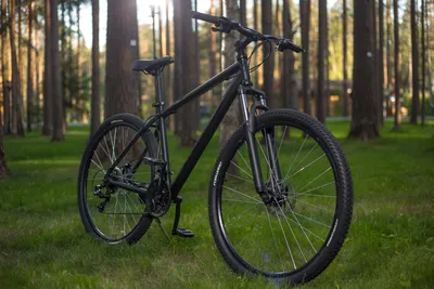 Велосипед 29" Cannondale TRAIL 5 рама - L 2022 RRD - купить по лучшей цене  | Характеристики, отзывы, видео-обзор в интернет-магазине Велопланета