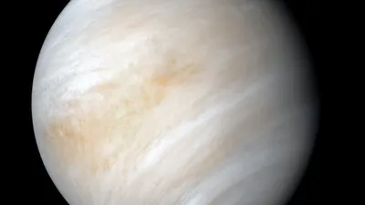 Ученые нашли потенциальный признак существования жизни на Венере — РБК