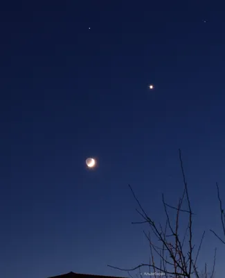 Благовещенск | Ты – Венера, я – Юпитер: благовещенцы увидели две планеты  без телескопов (фото, видео) - БезФормата
