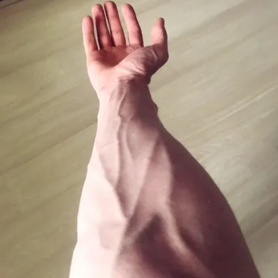 veins on the hand, aesthetics, вены на руке, эстетика | Эстетика,  Фотографии отношений, Фотография рук