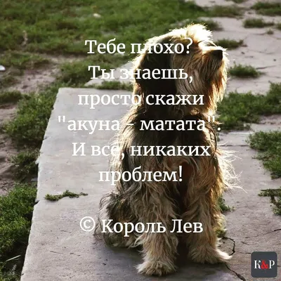 Нога загноилась, не могу наступить»: у экс-жены Аршавина начались осложнения