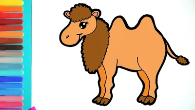 Раскраска Верблюд для малышей распечатать или скачать