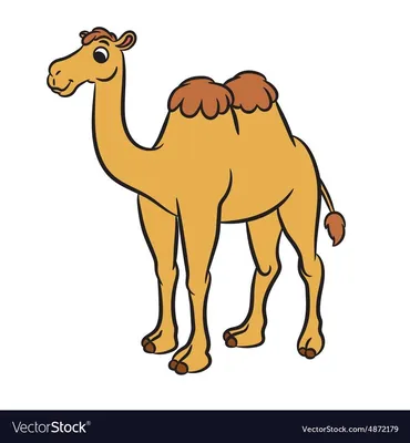 Картинка Верблюд для детей бесплатно для девочек | 