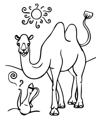 Раскраска Верблюд распечатать или скачать