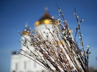 Вербное воскресенье 2024: какого числа в этом году православные отмечают  праздник?