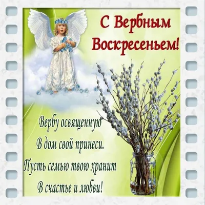 Вербное воскресенье: сколько стоит верба в Хабаровске | Губерния Онлайн