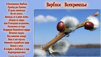 Вербное воскресенье 2020 Украина - поздравления в стихах, картинках и  открытках