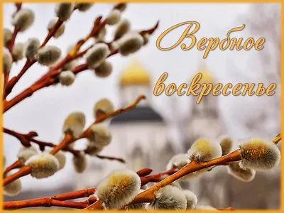 Вербное воскресенье |  | Архангельск - БезФормата