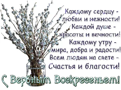 Вербное воскресенье 2023: какого числа, история и традиции | РБК Life