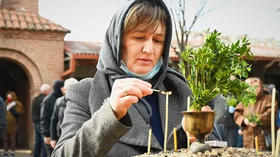 Вербное воскресенье в 2023 году: смысл праздника, что нельзя делать и когда  освящать веточки вербы — Интернет-канал «TV Губерния»