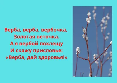 Вербное воскресенье. Традиции, когда отмечают | Правмир