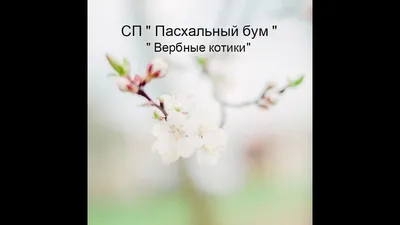 Котики вербные искусственные, h 40 см (ID#74514458), цена: 10 ₴, купить на  