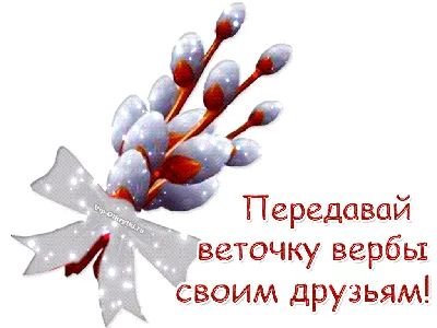 Вербное воскресенье 2021: какого числа в этом году православные отмечают  праздник?