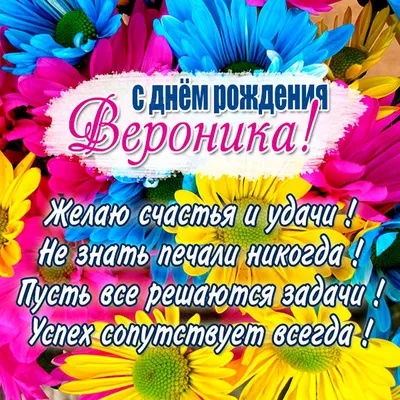 Именной Воздушный шар Bubble 60 см с надписью "С Днём Рождения, Вероника!"  и перьями - купить в интернет-магазине OZON с доставкой по России  (846689697)