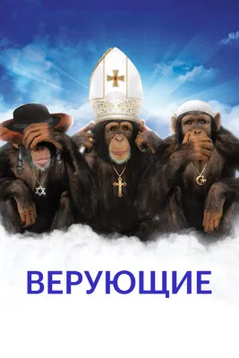 Верующие, 2008 — смотреть фильм онлайн в хорошем качестве на русском —  Кинопоиск