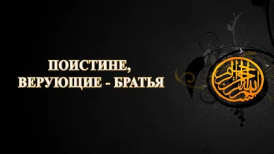 Кто такие современные верующие, и что может оскорбить их чувства? |  Православный журнал "Нескучный сад"