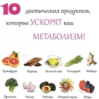 10 продуктов,которые помогают ускорить вес метоболизм и потерять вес | ЗОЖ  и фитнес | Дзен