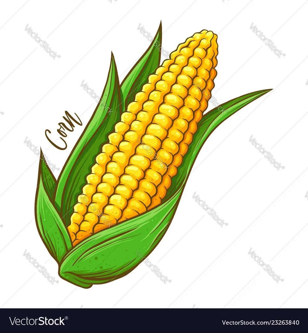 Corn Hentai