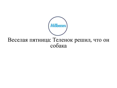 Чибис Днепр - Проведи вечер пятницы весело 💃🏻Живая Музыка 🎧, сочные  стейки 🥩 с фирменным соусом , веселая атмосфера и вкусные коктейли 🍸 в  подарок 🎁 #коктейль #стейк #подарки #пятница #вечер #живаямузыка #уютно  #чибис #чибисднепр #слюбовью ...