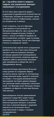 11 смешных комиксов, честно рассказывающие о том, какой веселый бедлам вас  ждет, если заведете кошку | Супер! | Дзен