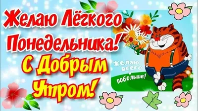 Понедельник, утро | Доброе утро, Веселые мысли, Веселые картинки