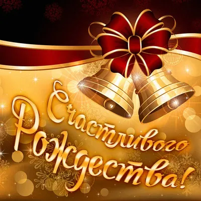 Funny Christmas. Забавное Рождество. PNG. | Смешное рождество, Рождество,  Забавности