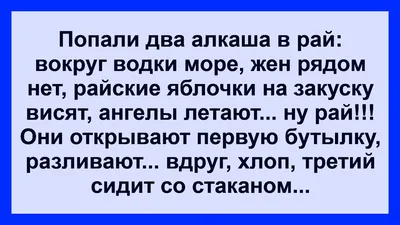 Смешные анекдоты, забавные афоризмы, пркольные картинки | Mixnews