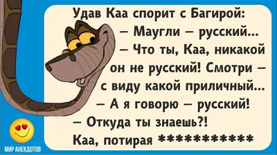 Самые смешные анекдоты с утра до вечера