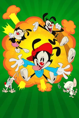 Обои Озорные анимашки Мультфильмы Animaniacs, обои для рабочего стола,  фотографии озорные, анимашки, мультфильмы, animaniacs Обои для рабочего  стола, скачать обои картинки заставки на рабочий стол.