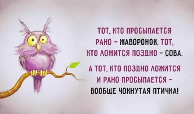 Улыбнись на полную! Классные смешные картинки, чтобы поднять настроение |  Хороший вкус | Дзен