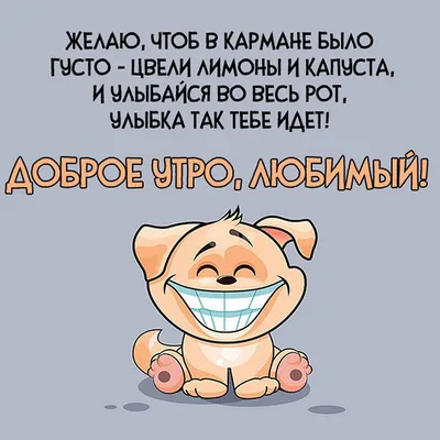 Агентство стихов и поздравлений Подари стихи, услуги частных специалистов,  Тульский пер., 8, Смоленск — Яндекс Карты