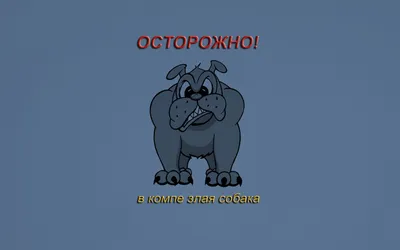 Обои Веселый, картинки - Обои для рабочего стола Веселый фото из альбома:  (прикольные)