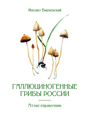 Иллюстрация Волшебные грибы в стиле 2d, графика, компьютерная