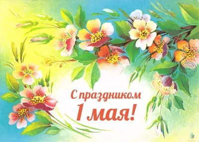 Рождённые в СССР с праздником 1 мая. Добрые Советские открытки - Разное.  Интересное | Бэйбики - 150369