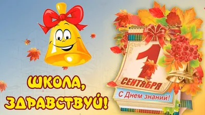 💥Дорогие Друзья! ☀️Маленькие и взрослые, веселые и грустные, спортсмены и  любители покушать! Приглашаем Вас на ☀️ПИКНИК 🍁"ПРОЩАЙ… | Instagram