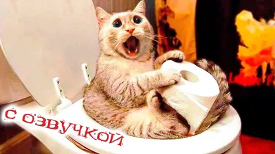 Полотенце "Веселые кошки"(набор из 4шт) в интернет-магазине Ярмарка  Мастеров по цене 270 ₽ – S2WLKBY | Полотенца, Москва - доставка по России