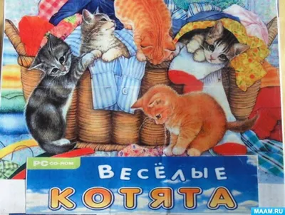 Веселые котята - 69 фото