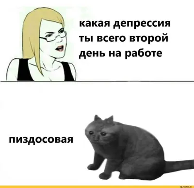 15 веселых, трогательных и до боли грустных мемов о депрессии | Итти Битти  | Дзен