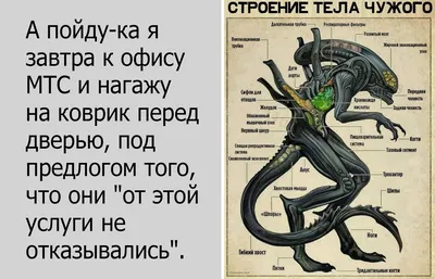 10 веселых картинок, чтобы поднять настроение: позитив и улыбка в одной  статье | Хороший вкус | Дзен