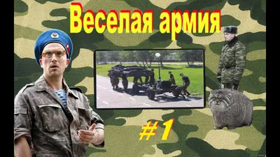 Весёлые старты