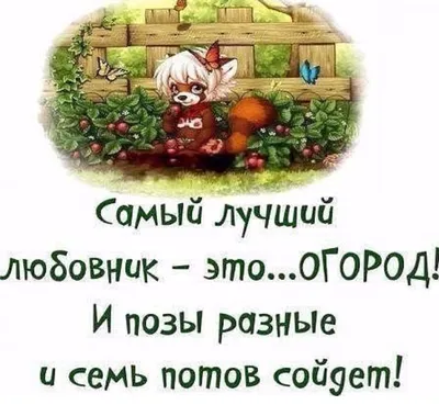 В конкурсе «Моя дача» сыктывкарцы показали, как они отдыхают и борются с  борщевиком (фото)