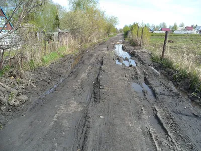 День арбуза в Кузьминском лесопарке | Путеводитель Подмосковья